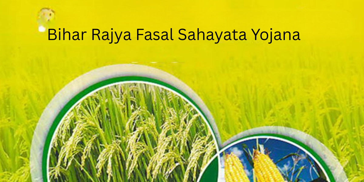 Bihar Rajya Fasal Sahayata Yojana – 2025 पूरी डिटेल
