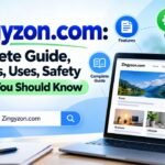 Zingyzon. com